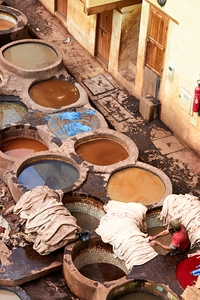 Chouara tannery workers prepare hides in Fez Morocco