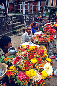 Nepal. Kathmandu. Pashupatinath by Marco Brivio