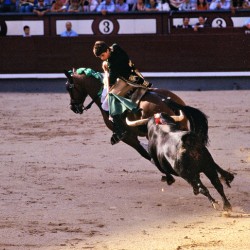 Bullfight in Madrid Spain features a skilled matador