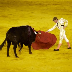 Bullfight event in Seville Arena Andalusia Spain
