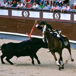 Bullfight on horseback at Las Ventas Bullring in Madrid