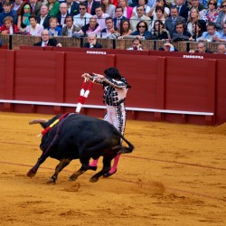 Bullfight event takes place in Seville Arena in Andalusia Spain