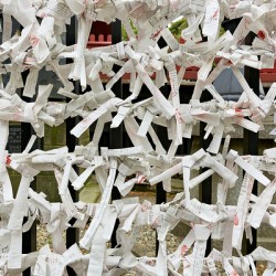 Japan. Tokyo. Invocations and wishes at Senso Ji Temple in Asakusa