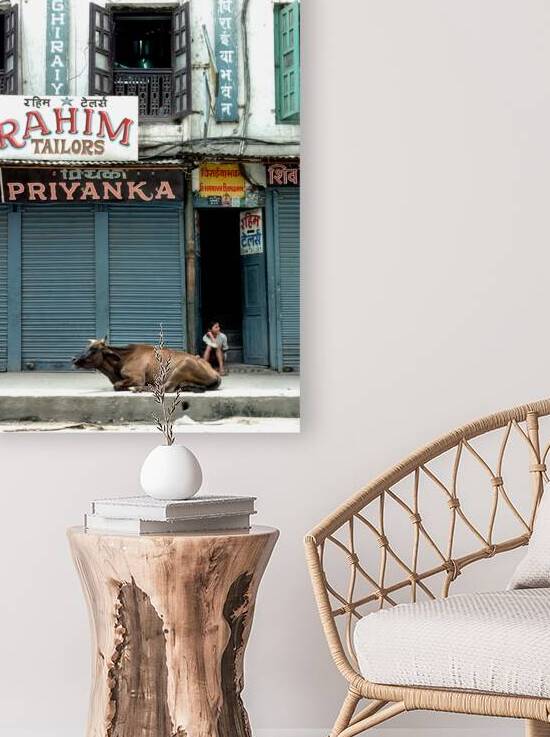 Nepal. Kathmandu. Holy cow by Marco Brivio