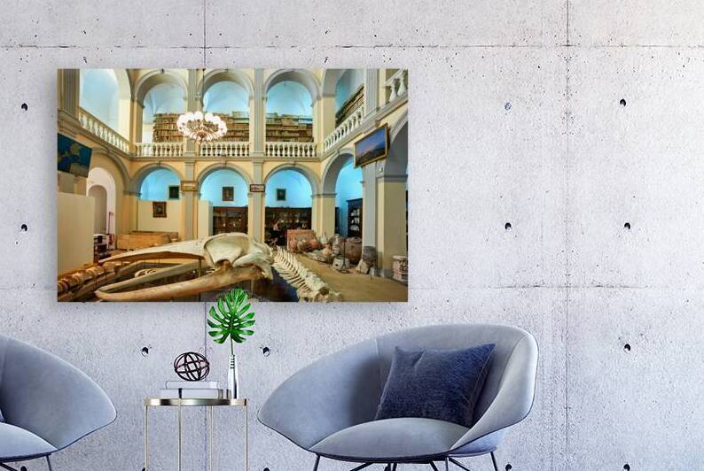 Salento. Apulia Puglia Italy. Gallipoli. Civic Museum Emanuele Barba by Marco Brivio