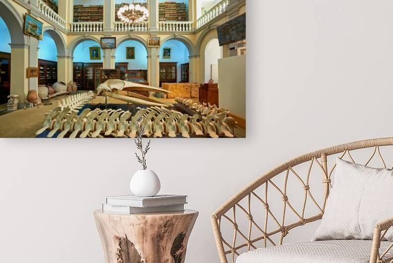 Salento. Apulia Puglia Italy. Gallipoli. Civic Museum Emanuele Barba by Marco Brivio