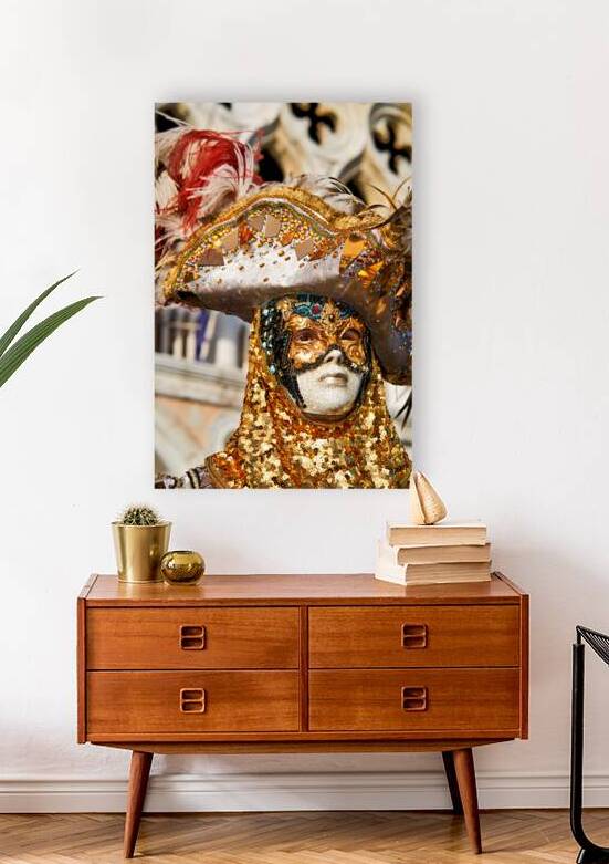 Venice Italy. The Carnival by Marco Brivio