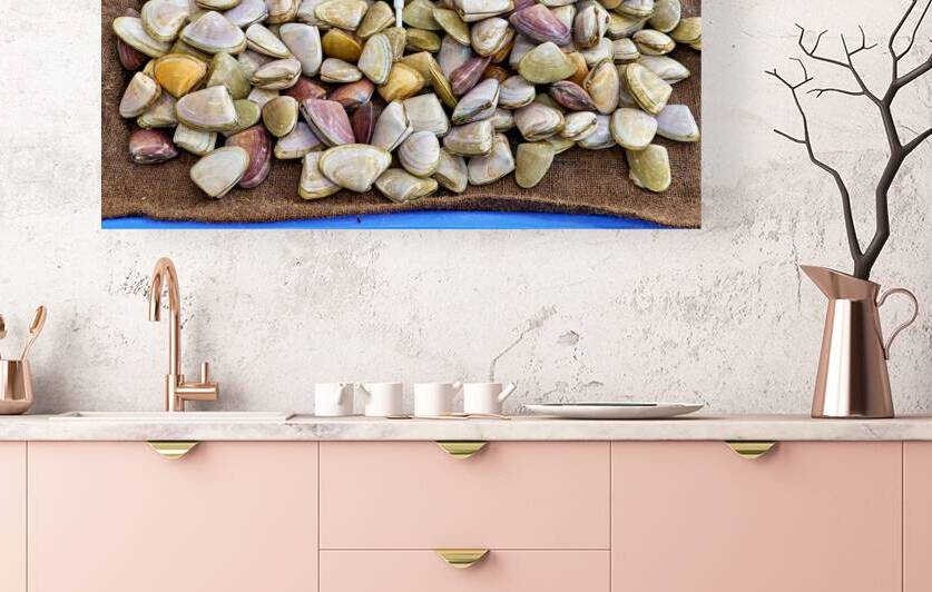 Live pipis for sale at $24.99 per kg. by Marco Brivio