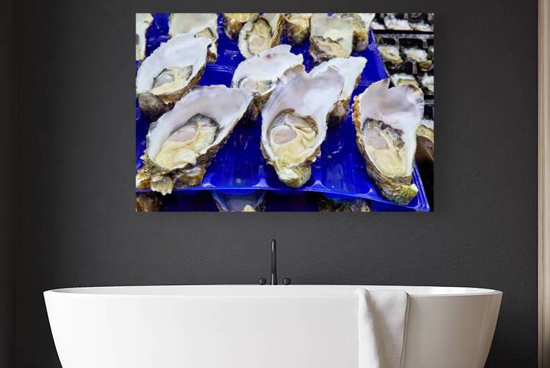 Freshly shucked oysters on blue plastic trays. by Marco Brivio
