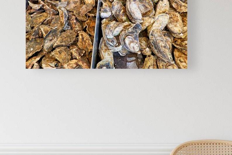 Fresh Sydney Rock and Clyde River oysters on display. by Marco Brivio