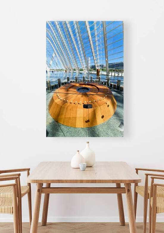 Foucault pendulum in Museu de les Ciències Príncipe Felipe Va by Marco Brivio