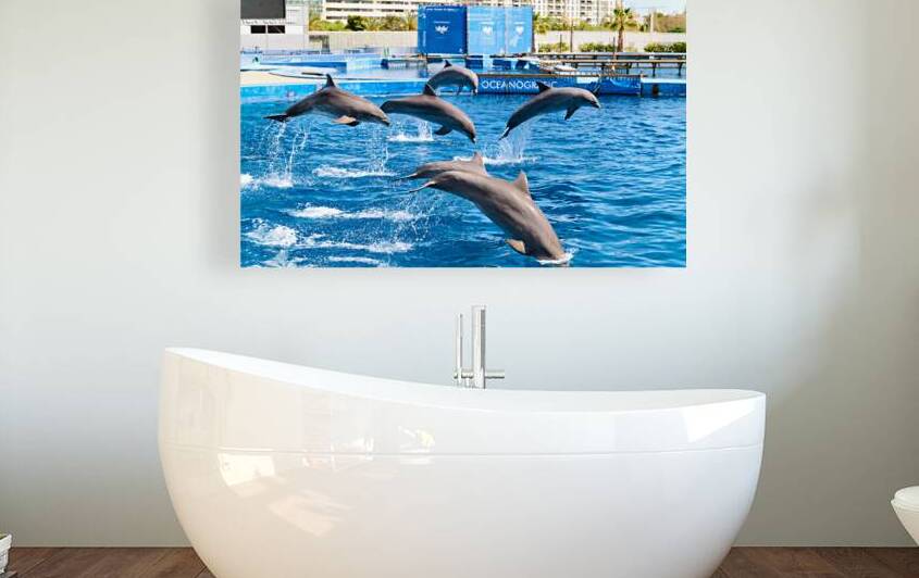 Dolphins display skills at Oceanografic in Valencia Spain by Marco Brivio