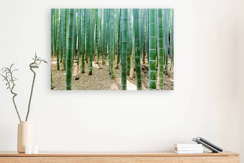 Explore the beauty of Arashiyama Bamboo Grove in Kyoto Japan by Marco Brivio