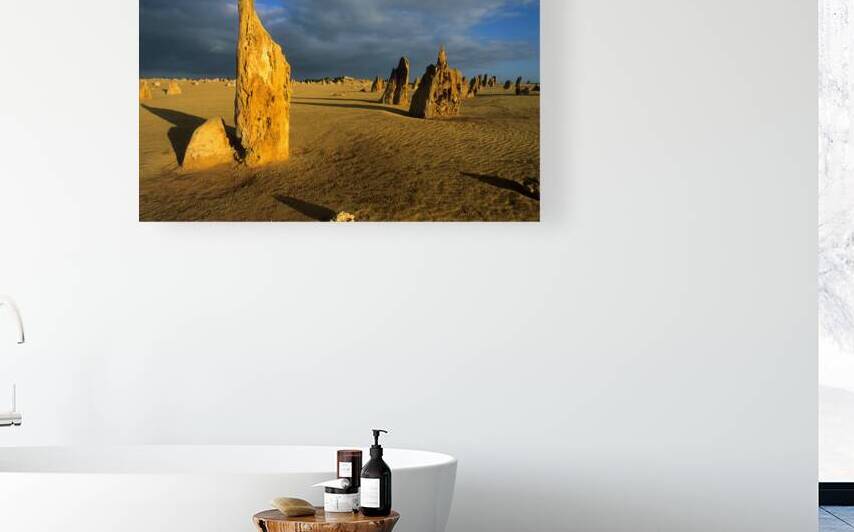 Pinnacles desert landscape at sunset with dramatic clouds. by Marco Brivio