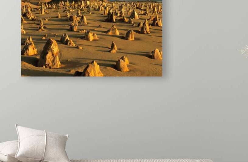 The Pinnacles Deserts limestone pillars glow at sunset. by Marco Brivio