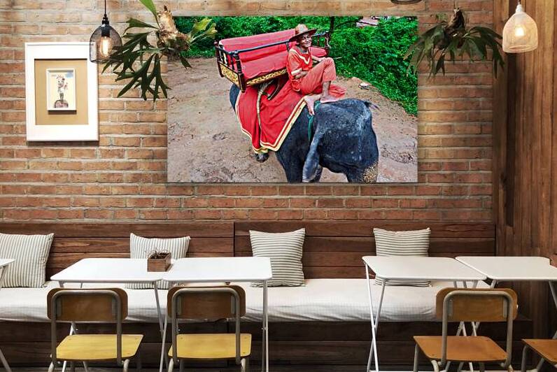 Smiling mahout on elephant with ornate saddle in jungle. by Marco Brivio