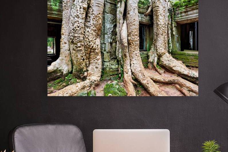 Giant tree roots engulf ancient temple ruins. by Marco Brivio