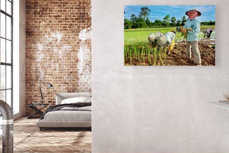 Farmers planting rice seedlings in a muddy field. by Marco Brivio