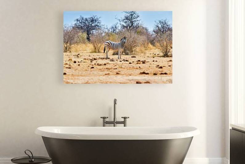 A zebra stands on dry land in Etosha National Park Namibia by Marco Brivio