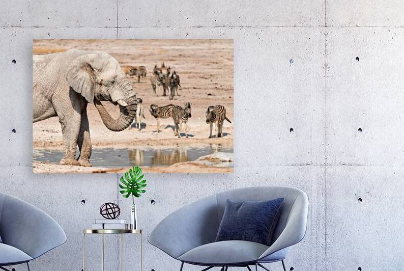 Elephant drinks water at waterhole in Etosha National Park Nami by Marco Brivio