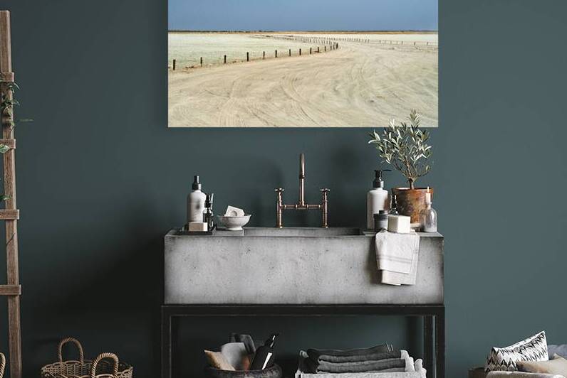 Exploring the etosha pan in namibias etosha national park by Marco Brivio