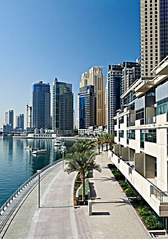 Sunny Dubai Marina with boats and modern buildings along the wat by Marco Brivio