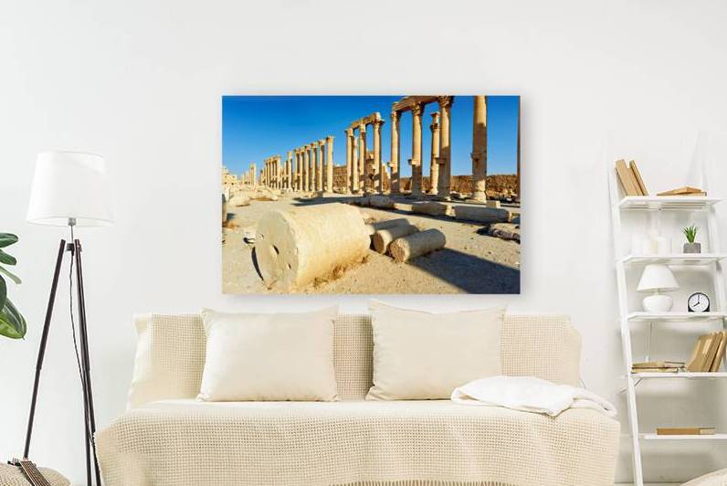 Exploration of the ruins at the ancient city of Palmyra in Syria by Marco Brivio