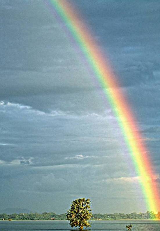 Rainbow shines over landscape in Myanmar after rainfall by Marco Brivio