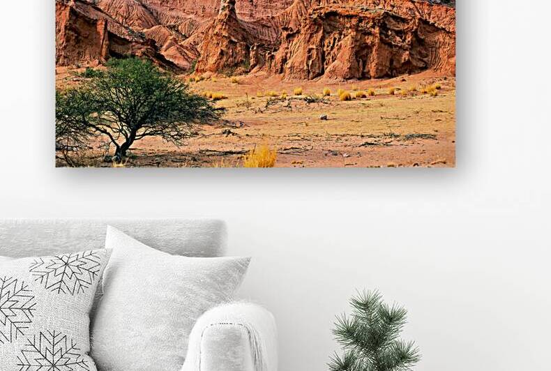 Eroded red rock formations in Quebrada de las Conchas near Cafay by Marco Brivio