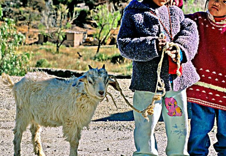 Children with a goat in a village in the Andes Mountains of Arge by Marco Brivio