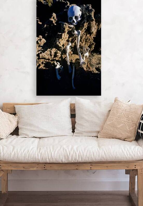 Human skeleton partially buried in rocky terrain. by Marco Brivio