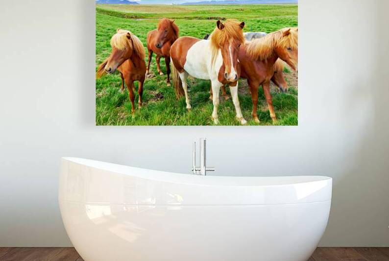 Wild horses gather in western fjords in Iceland during summer by Marco Brivio