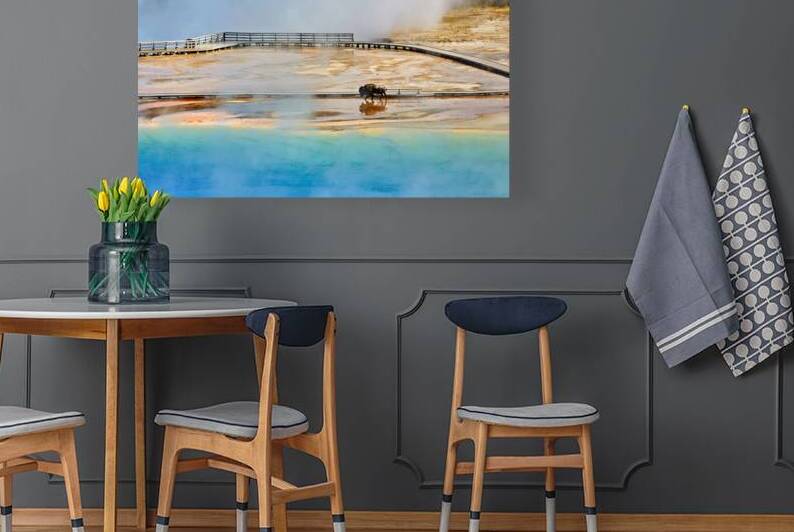 Bison walking near Grand Prismatic Spring in Yellowstone by Marco Brivio