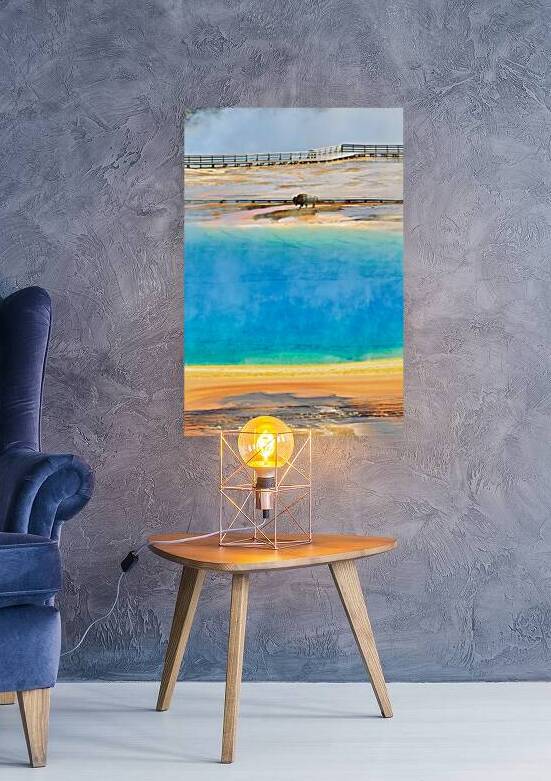 Bison at grand prismatic spring yellowstone park by Marco Brivio