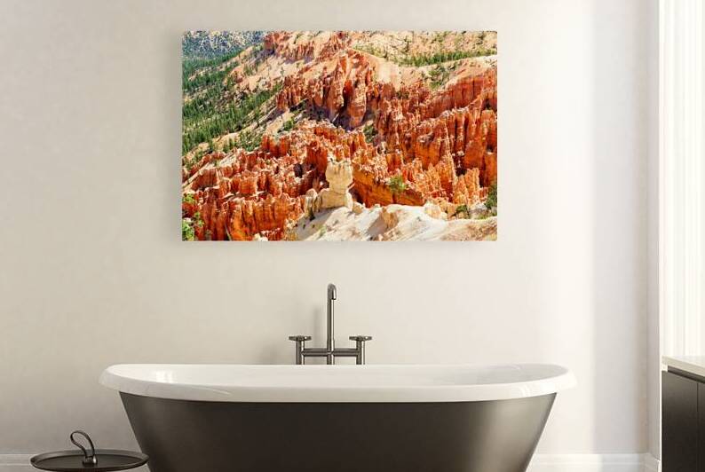 View of Bryce Canyon National Park from Bryce Point in summer by Marco Brivio