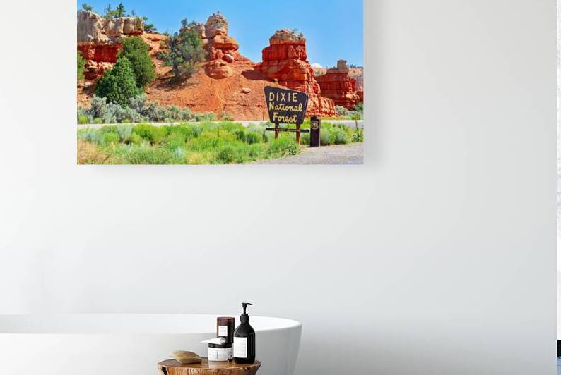 Stunning view of Dixie National Forest in Utah during daytime by Marco Brivio