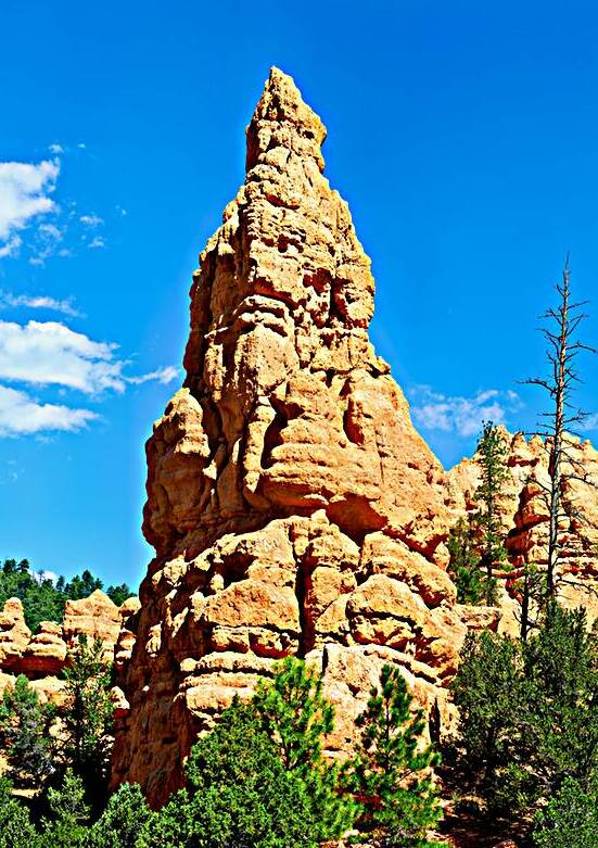 NP USA 00428 by Marco Brivio