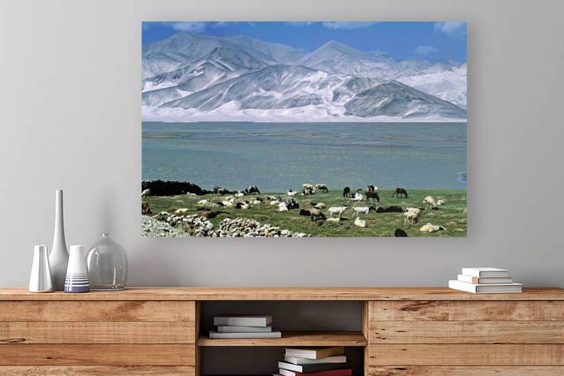 Mountains and livestock in Uzbekistan landscape by Marco Brivio