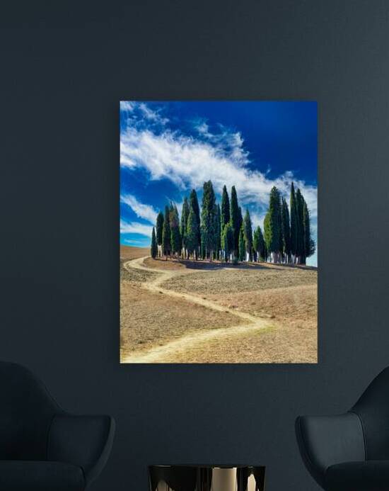 Cypress trees on a hill in San Quirico dOrcia Tuscany Italy by Marco Brivio