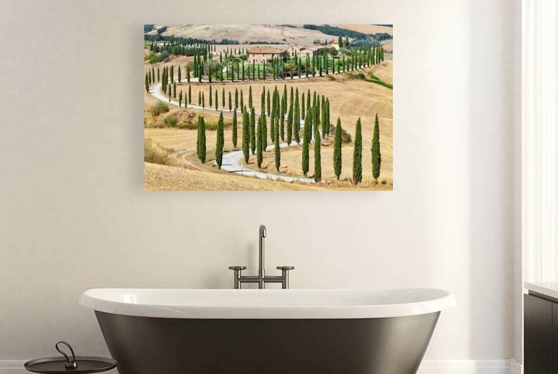 Cypress trees along winding road in Val dOrcia Tuscany Italy by Marco Brivio