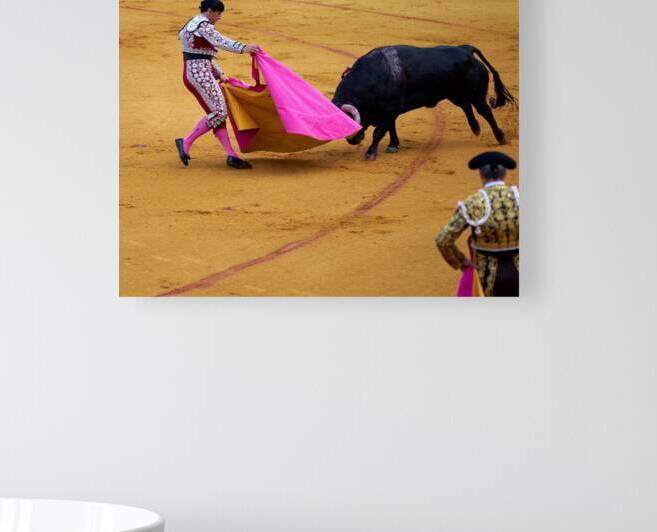 Bullfight event at Seville Arena in Andalusia Spain by Marco Brivio