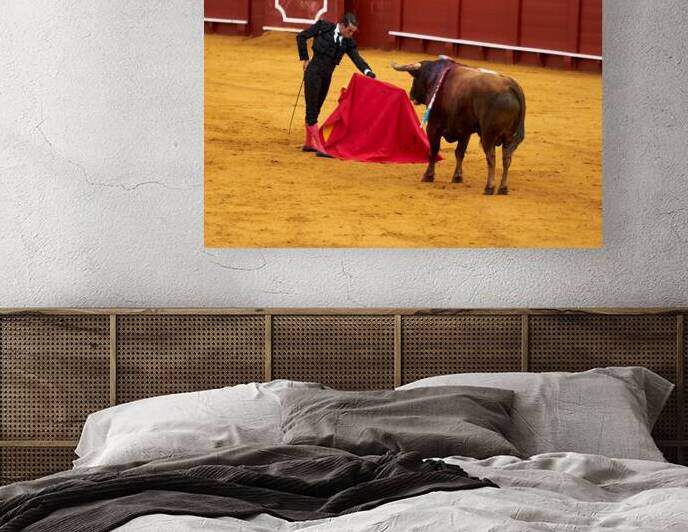 Bullfight event at Seville Arena in Andalusia Spain by Marco Brivio