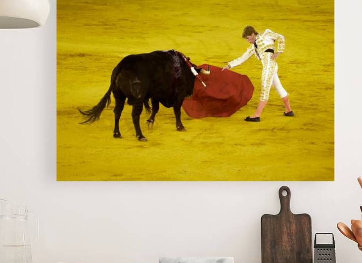 Bullfight event in Seville Arena Andalusia Spain by Marco Brivio