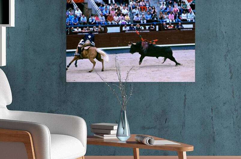 Bullfight event in Madrid with bull and horse in action by Marco Brivio