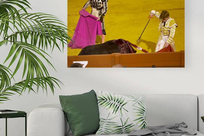 Bullfight event at Seville Arena in Andalusia Spain by Marco Brivio