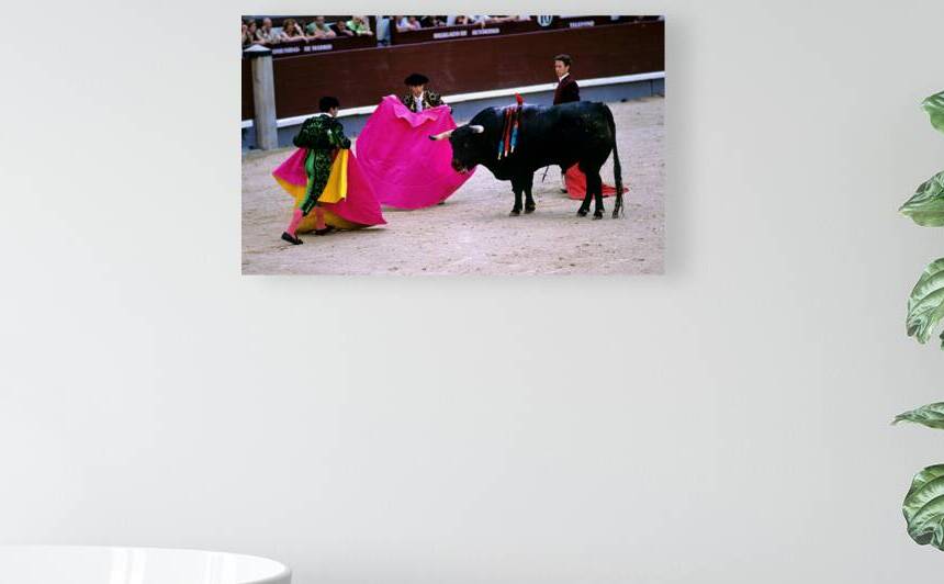 Bullfight at las ventas bullring in madrid spain by Marco Brivio