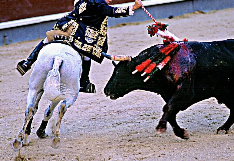 Bullfight on horseback at Las Ventas Bullring in Madrid Spain by Marco Brivio