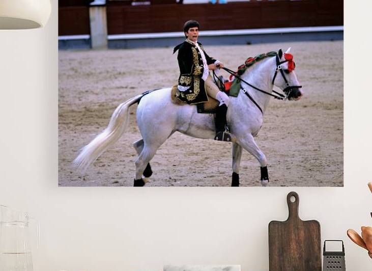 Bullfight event in Madrid Spain features a rider on horseback by Marco Brivio