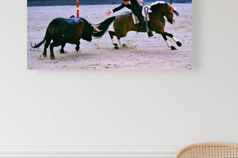 Bullfight on horseback at Las Ventas in Madrid Spain by Marco Brivio