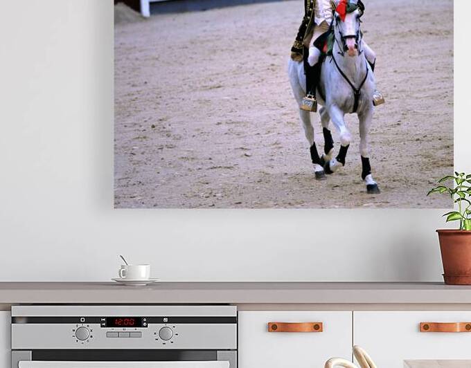 Bullfighter performing in Las Ventas Bullring in Madrid Spain by Marco Brivio